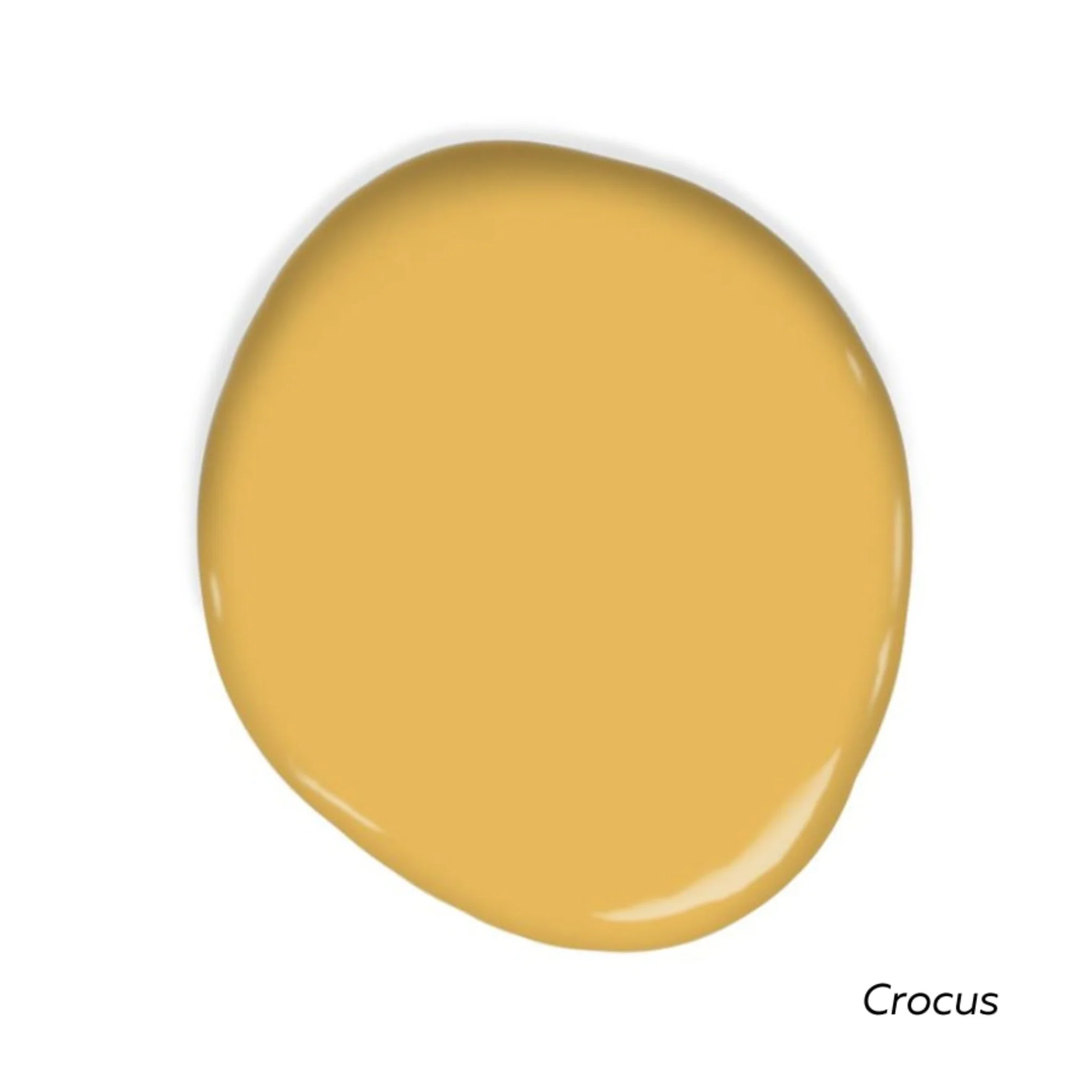 Sunny Side Swatch Pack - Image 3