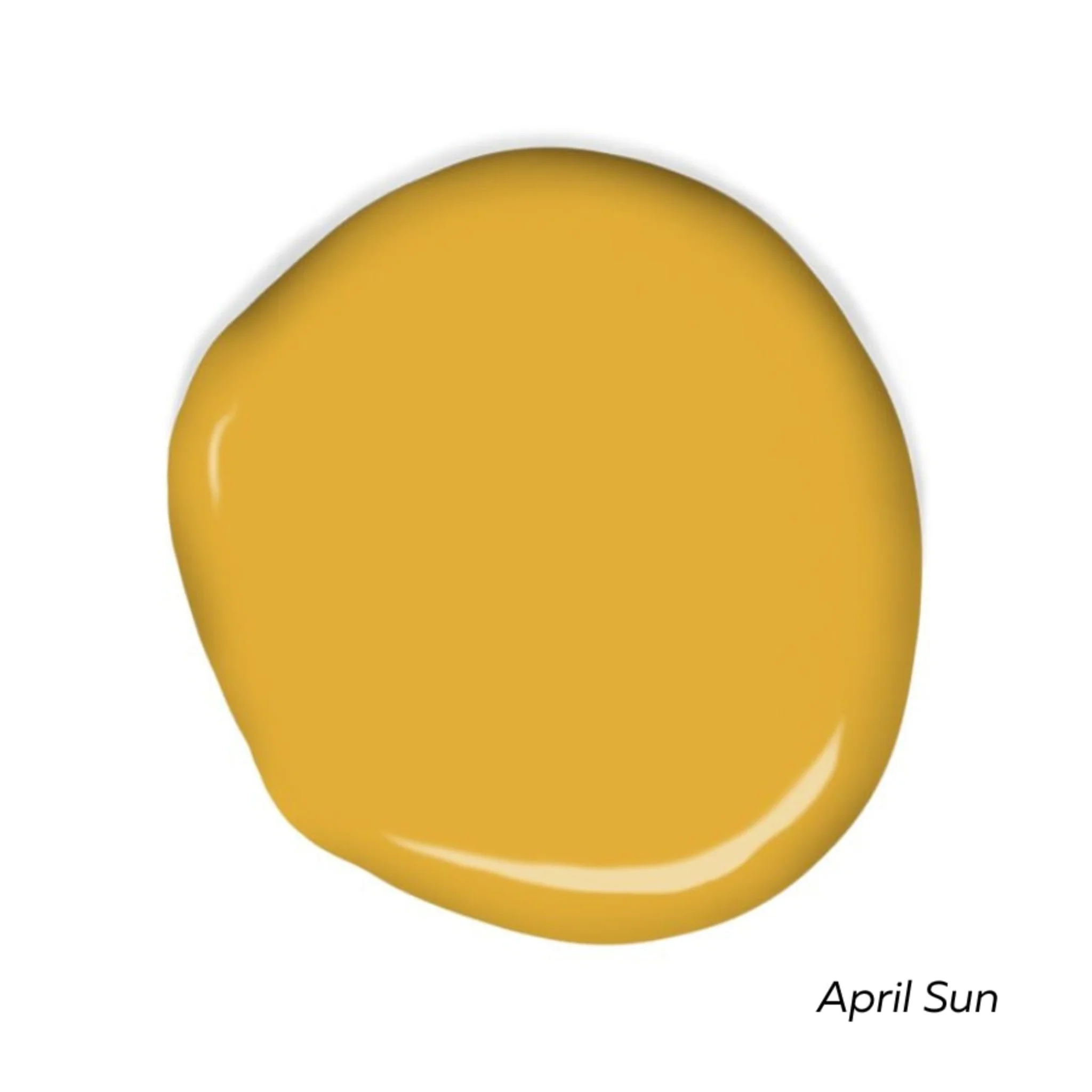 Sunny Side Swatch Pack - Image 4