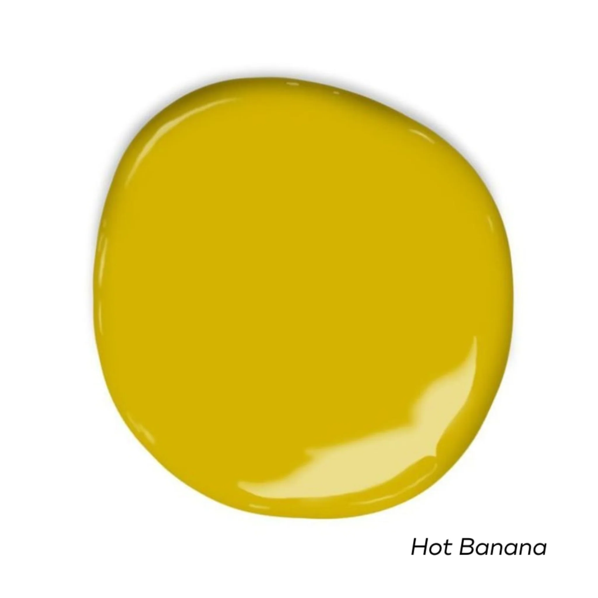 Sunny Side Swatch Pack - Image 5